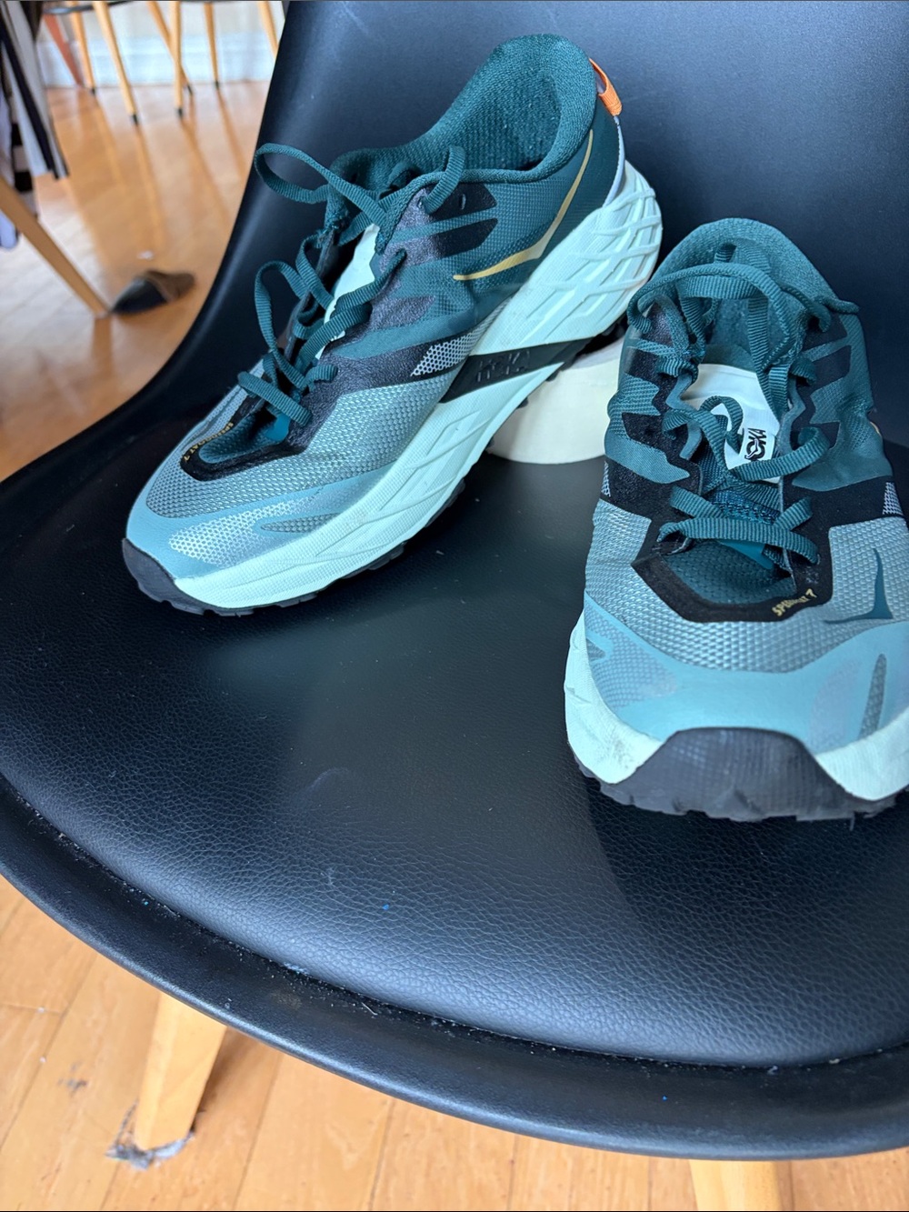Hoka Men's Speed-goat 7.5